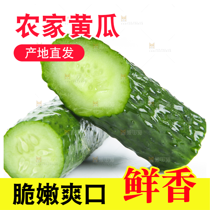 白底上摆放着黄瓜