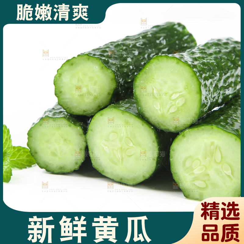白底上摆放着黄瓜