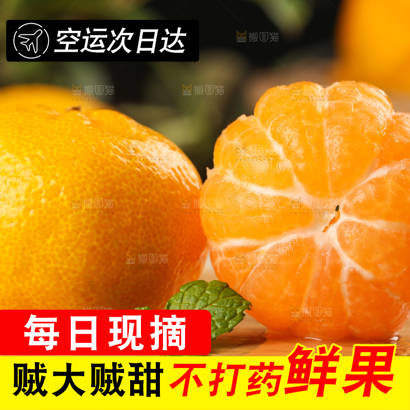木底上摆放着椪柑