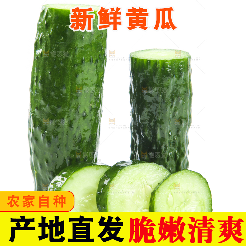 白底上摆放着黄瓜