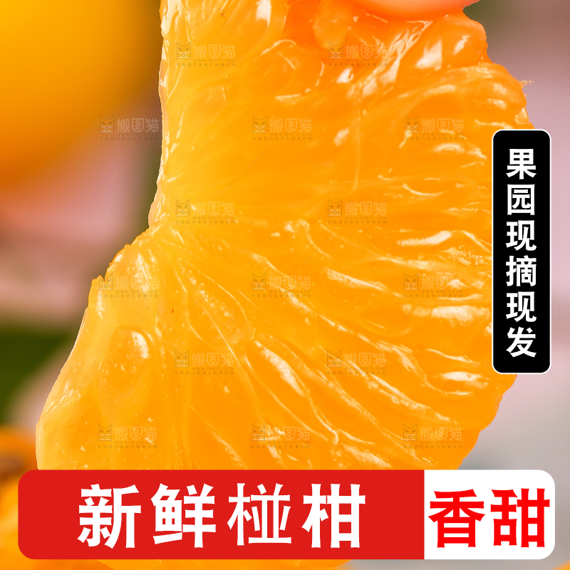 手里拿着芦柑
