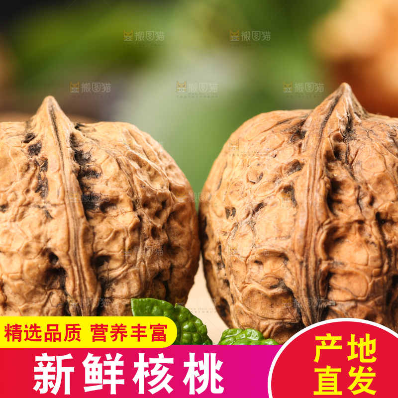 木底上摆放着大核桃