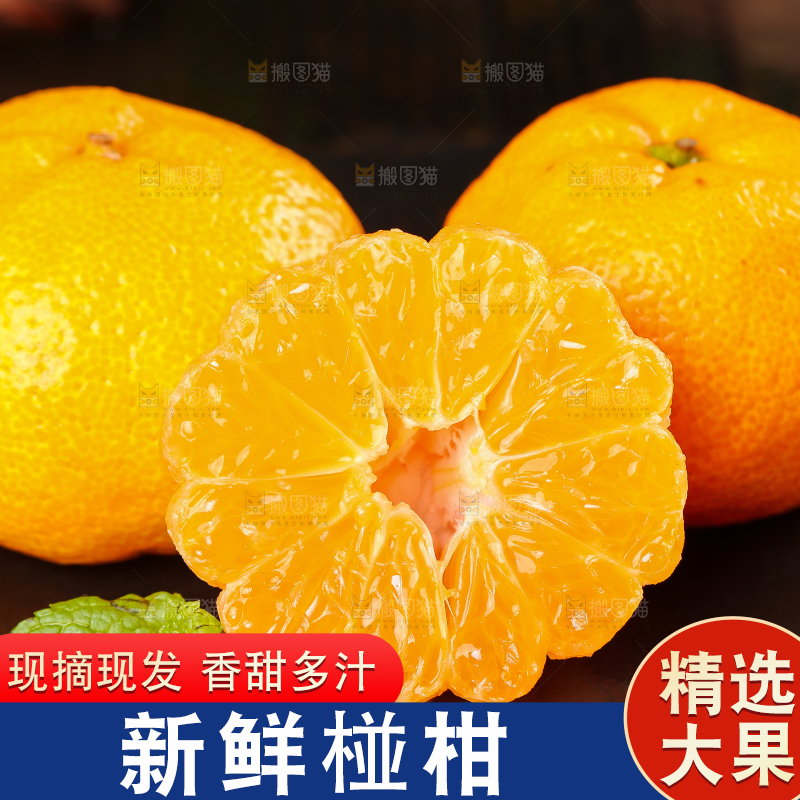 黑底上摆放着椪柑