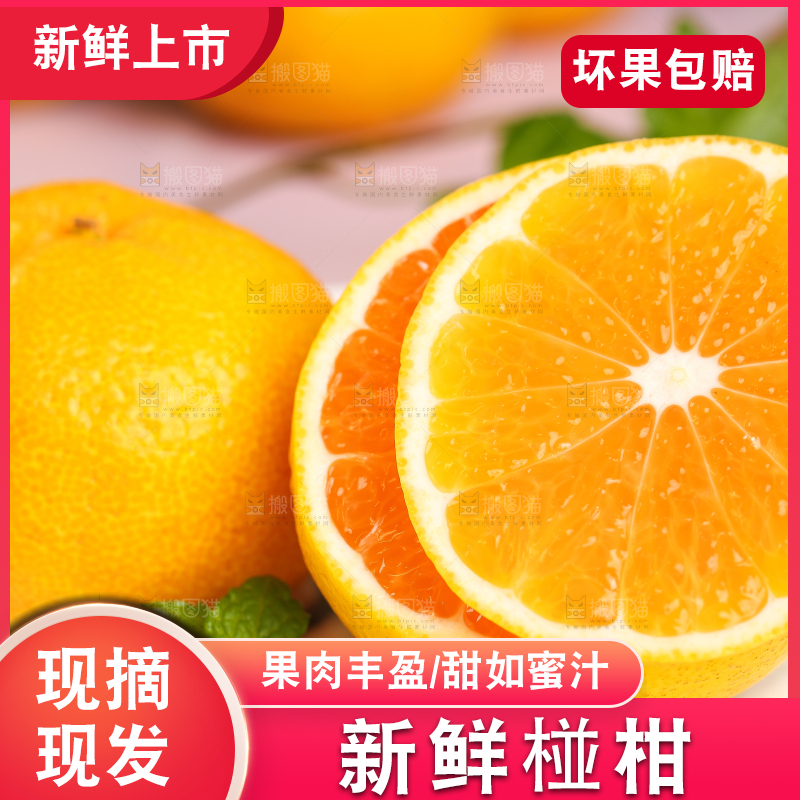 浅底上摆放着椪柑