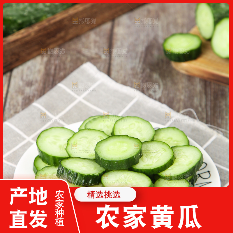 格子底上摆放着黄瓜
