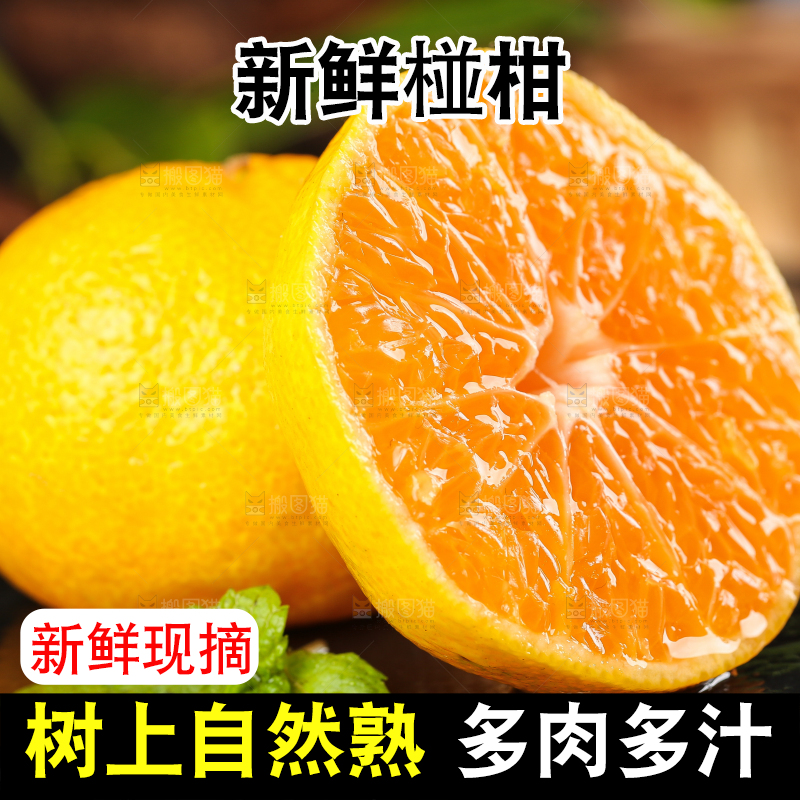黑底上摆放着椪柑