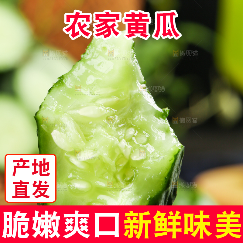 手里拿着黄瓜