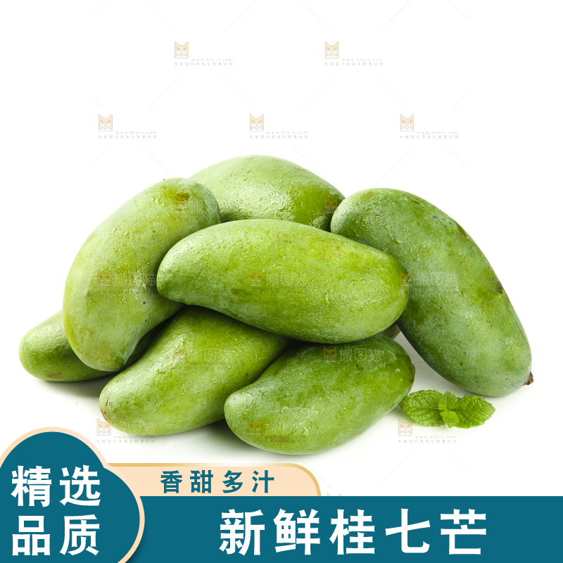 白底上的桂七芒