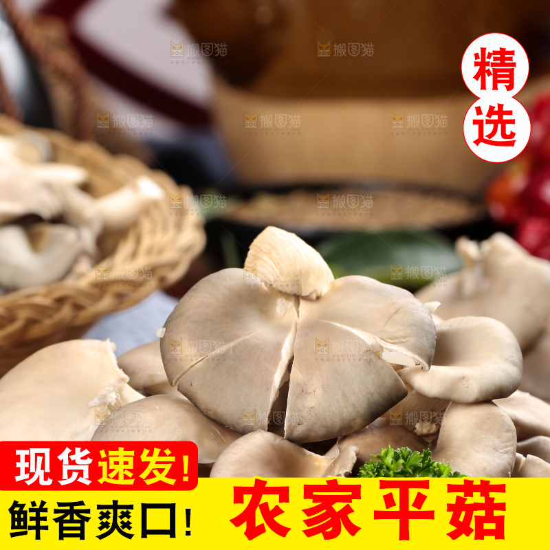 盘子里装着平菇