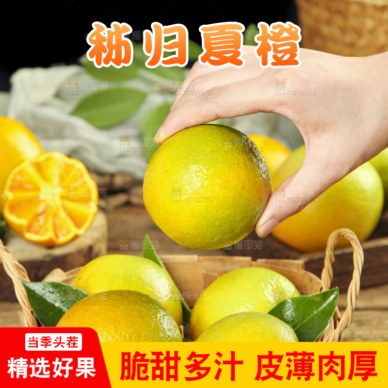 手拿秭归夏橙