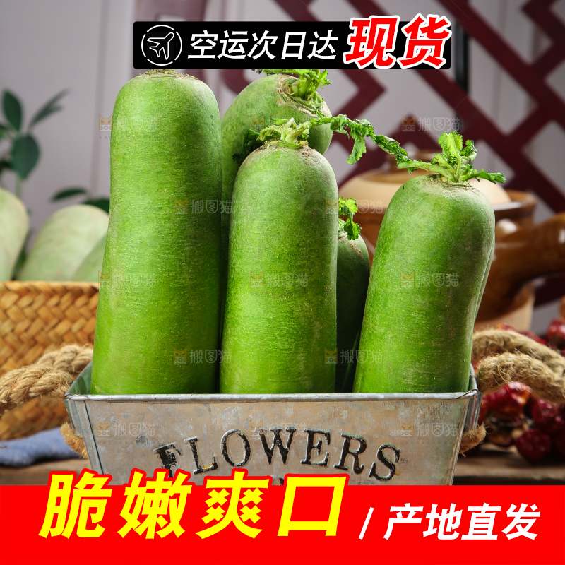 篮子里放着绿心萝卜