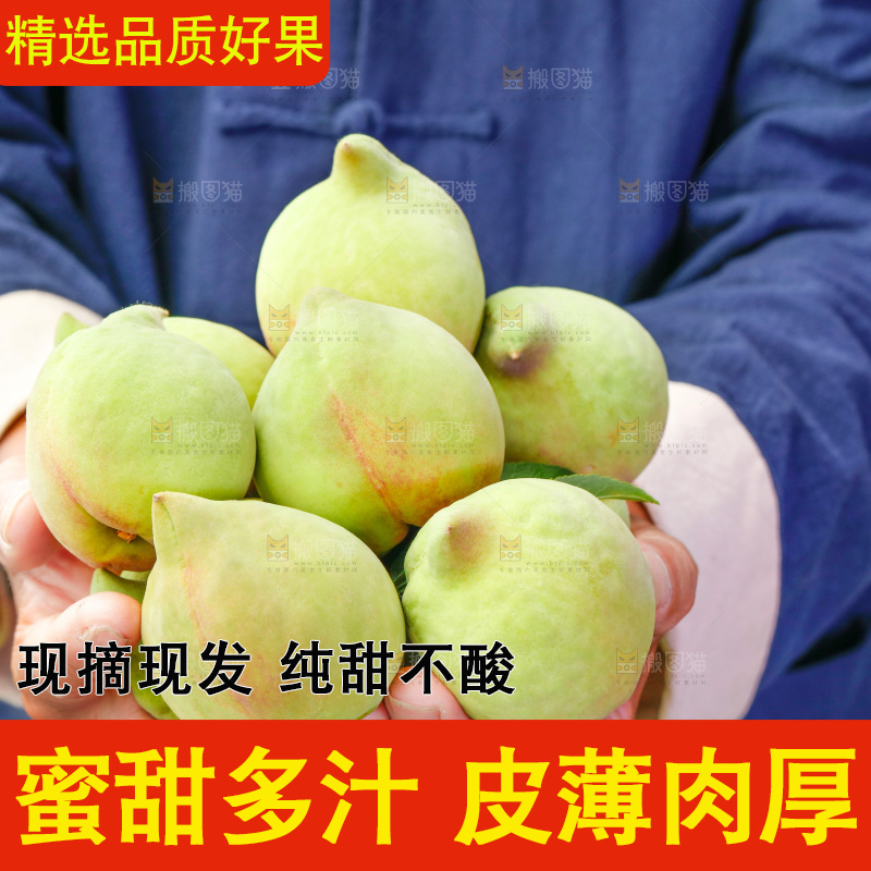手拿云南鹰嘴黑美人桃子