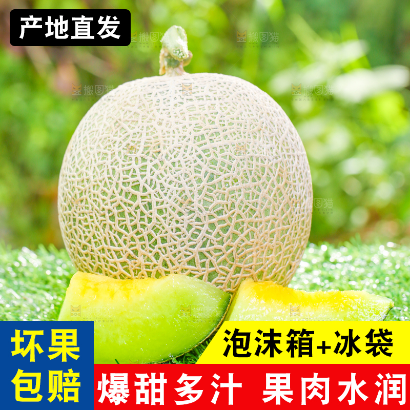 草地上放着切开的网纹蜜瓜