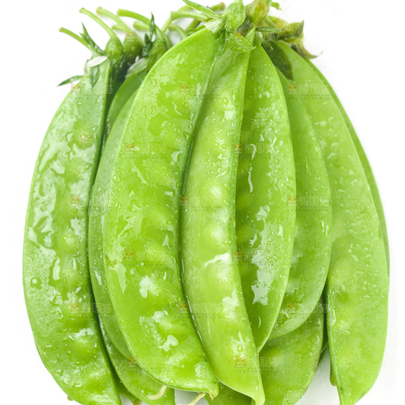 白底上摆放着豌豆荚