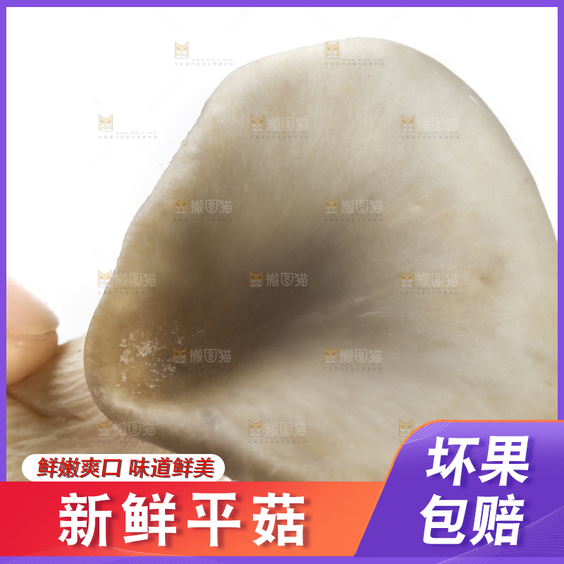 手里拿着平菇