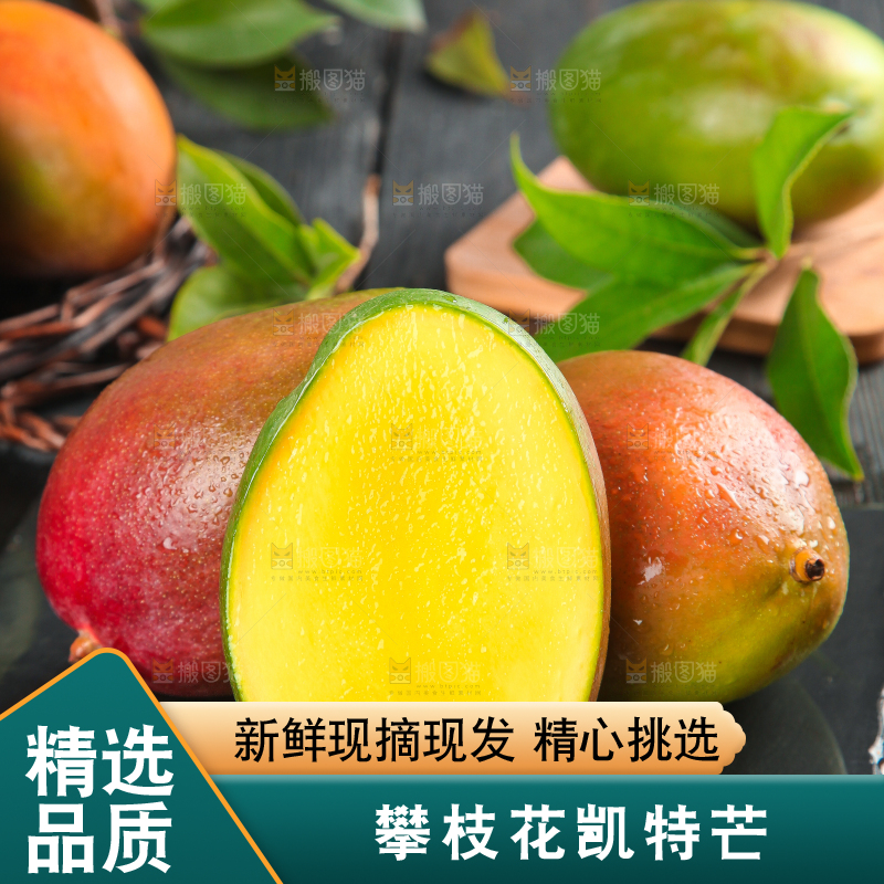 凯特芒主图