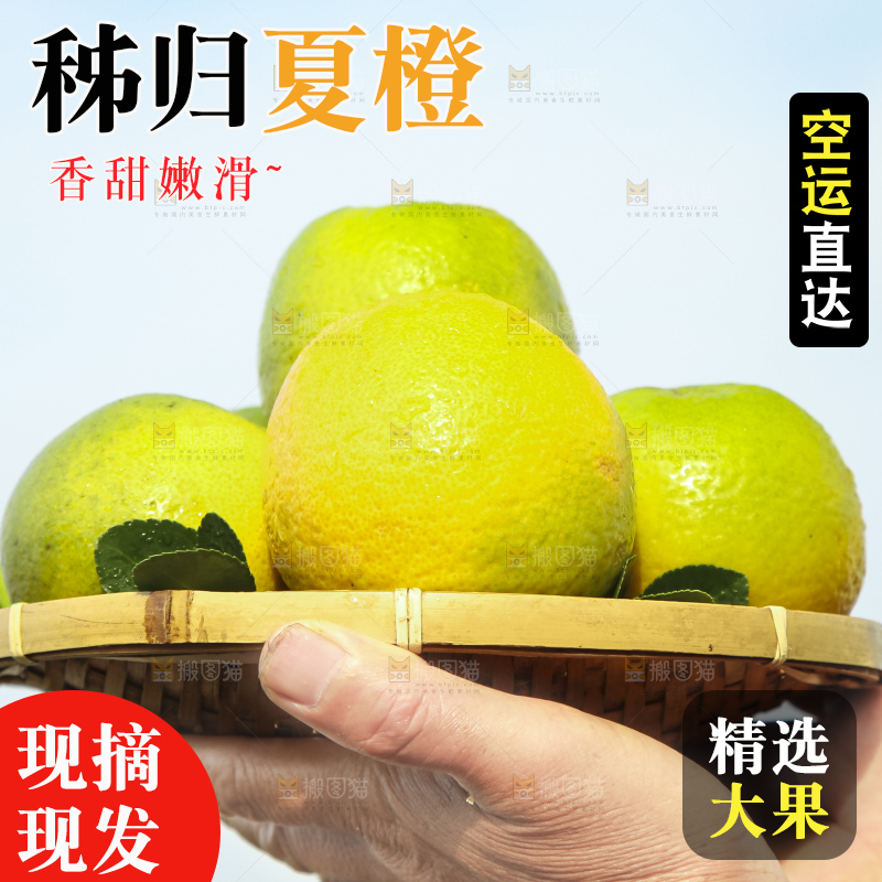 上手拿一筐夏橙