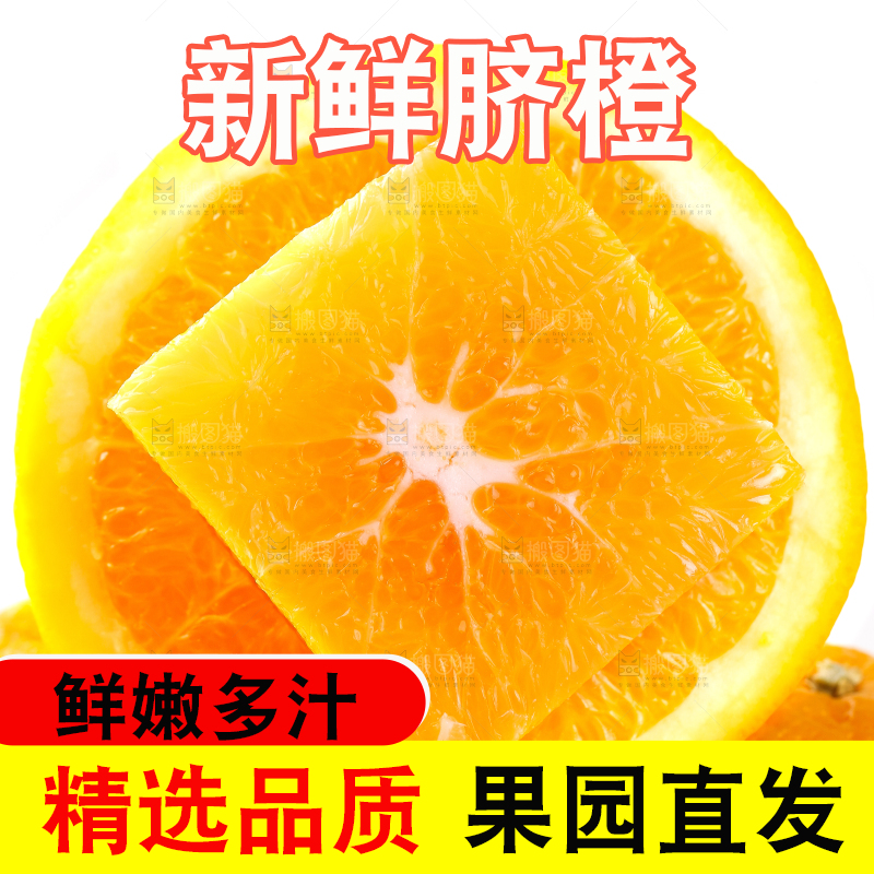 白底上摆放着甜橙子
