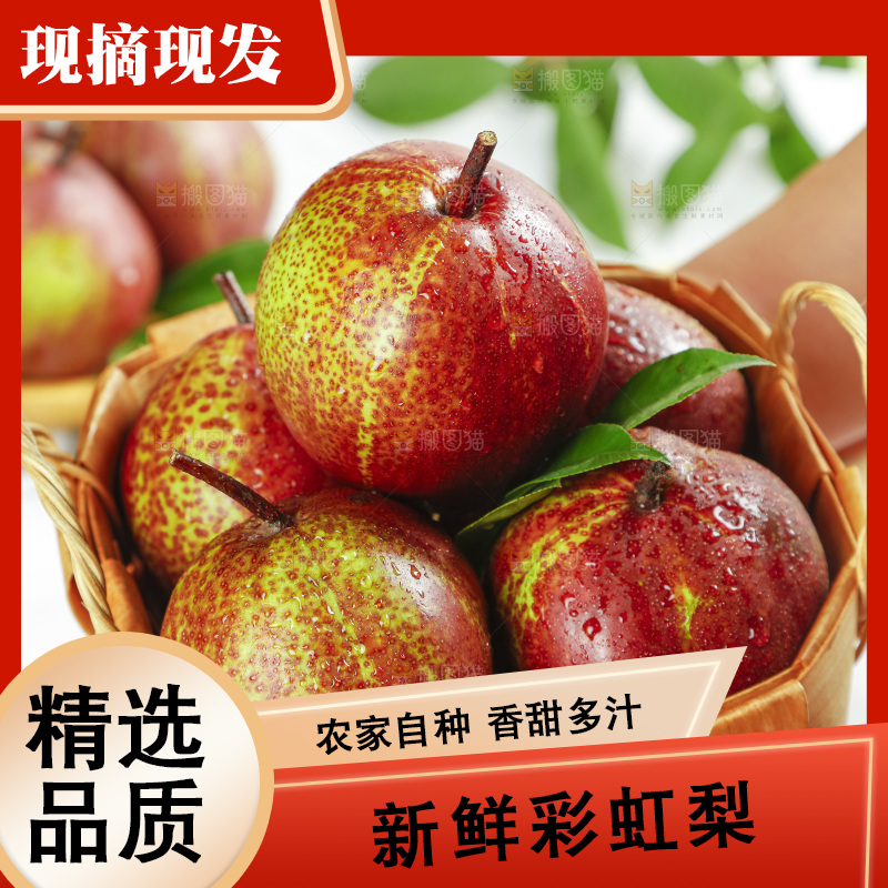 手拿陕西彩虹梨