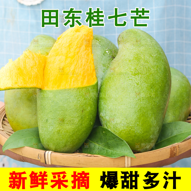 手端一盘桂七芒