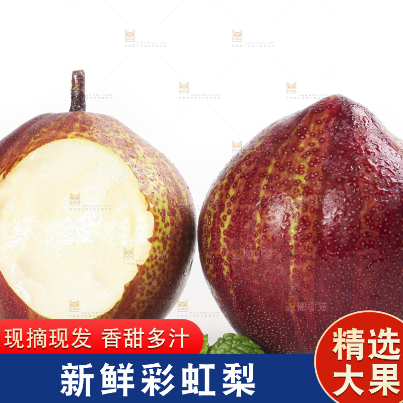 白底上的陕西彩虹梨