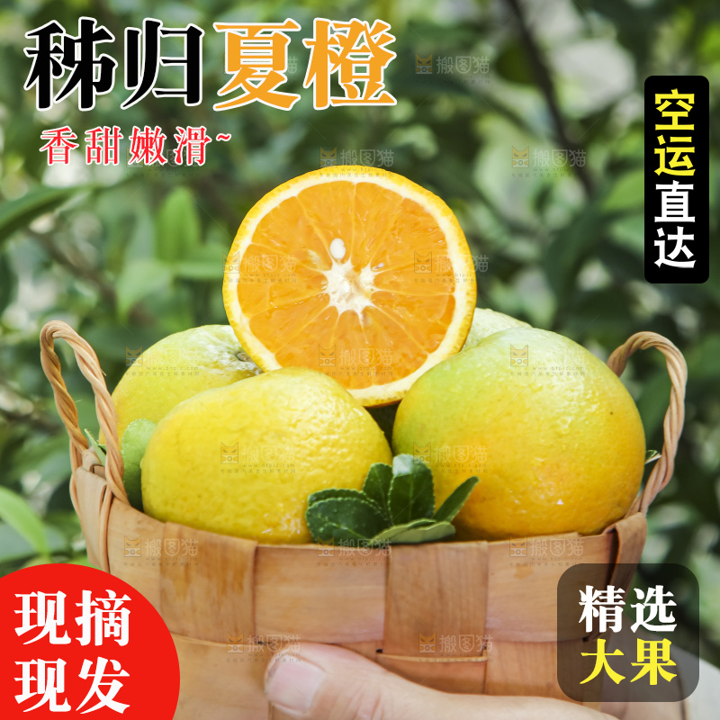 手拿一筐秭归夏橙