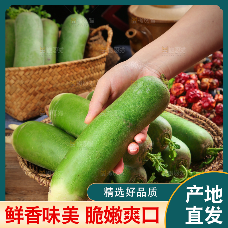 篮子里放着绿心萝卜