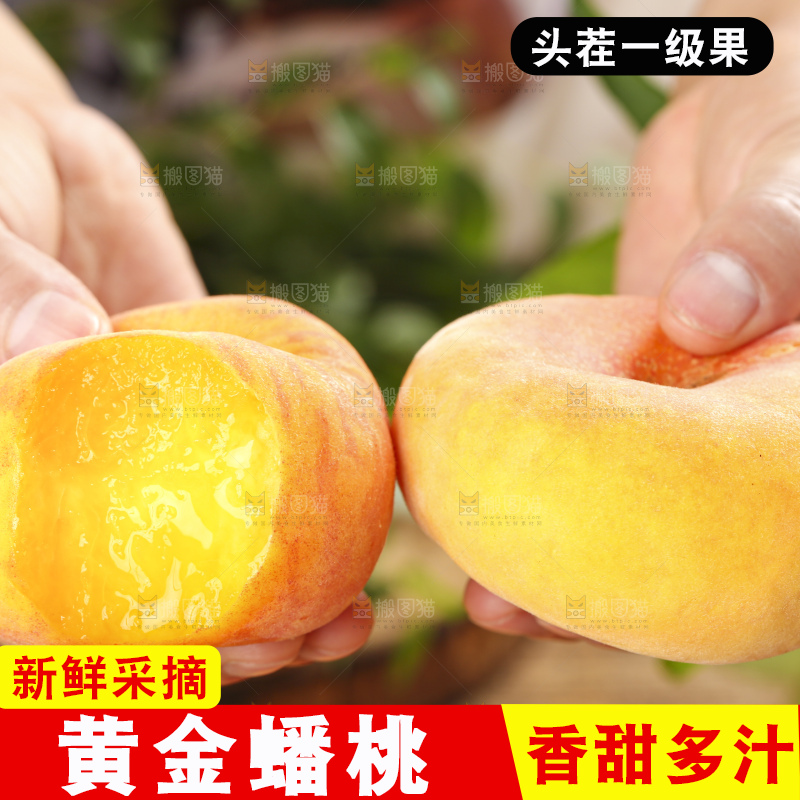 木底上手拿着的黄金扁桃