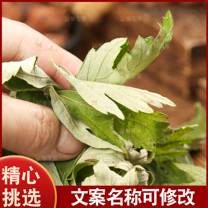 手里拿着艾草叶