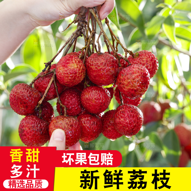 无核荔枝主图