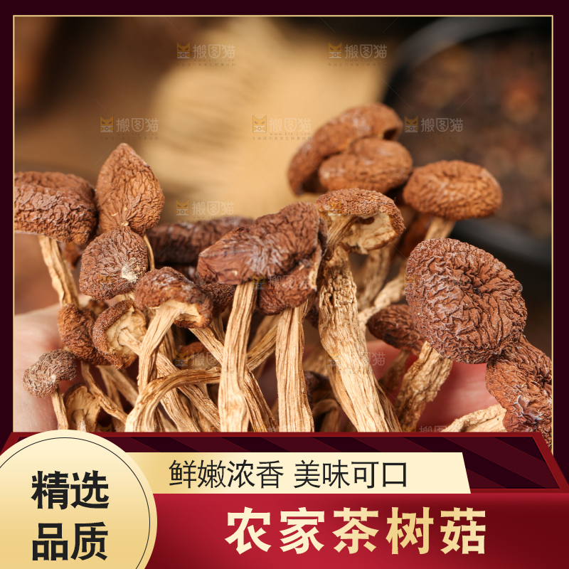 手里拿着茶树菇