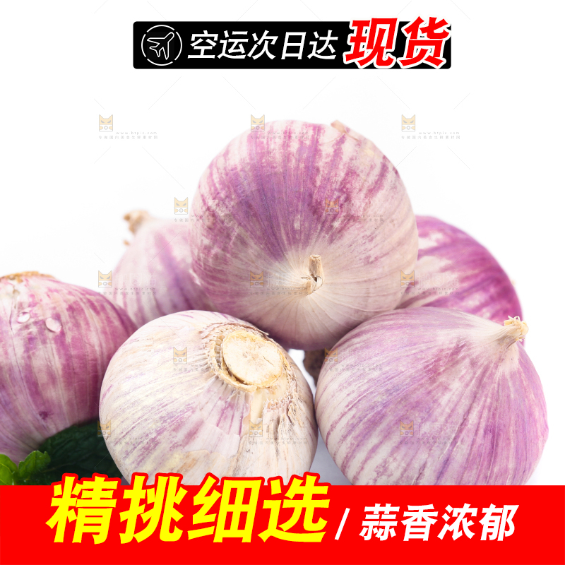 白底上摆放着独蒜