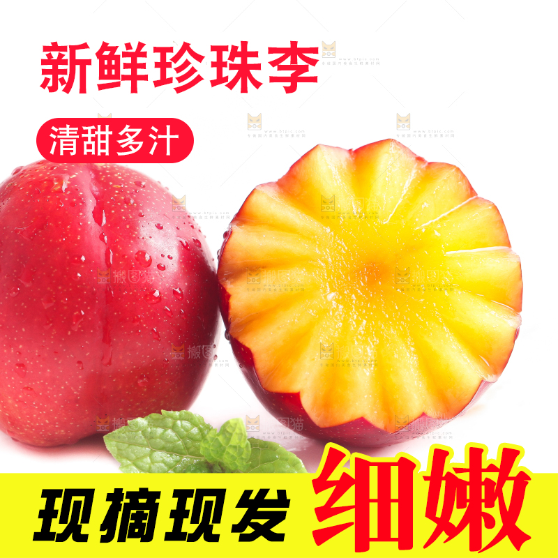 白底上的珍珠李