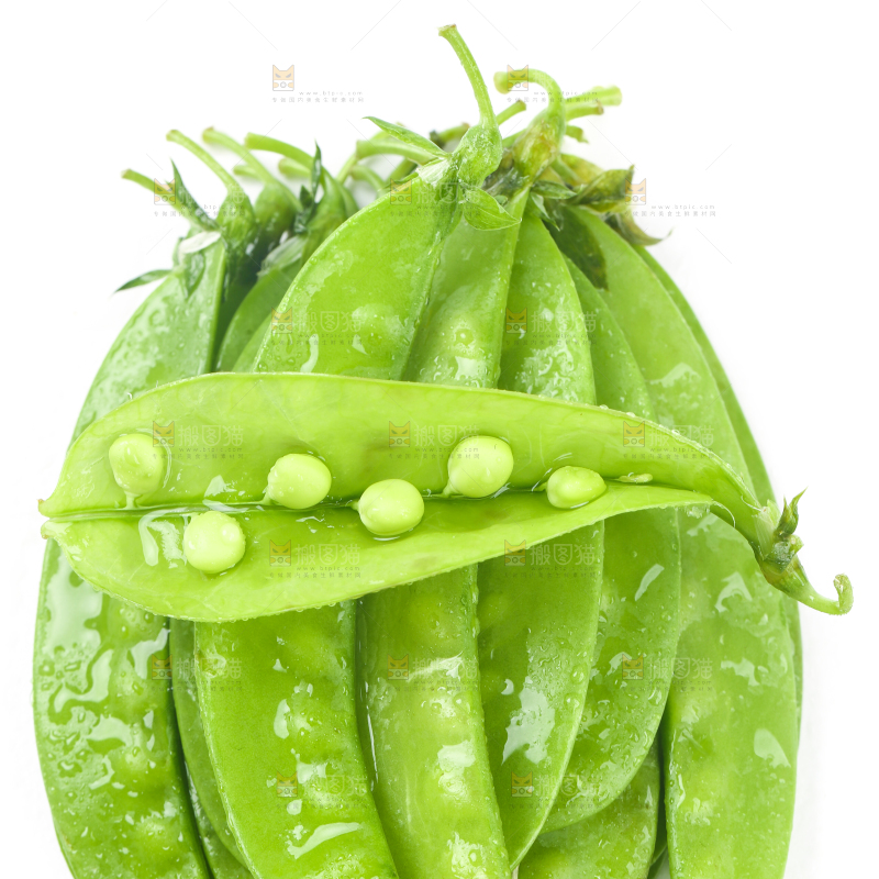 白底上摆放着豌豆荚