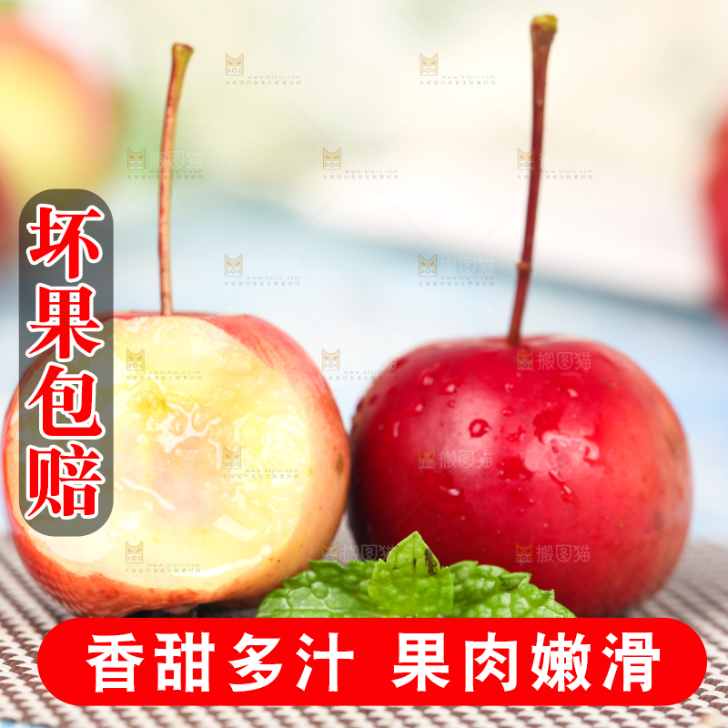 浅底上的东北海棠果