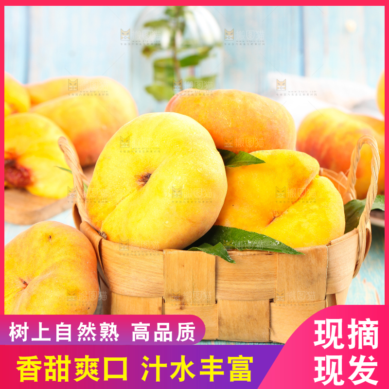 蓝底上放着一筐黄金毛蟠桃