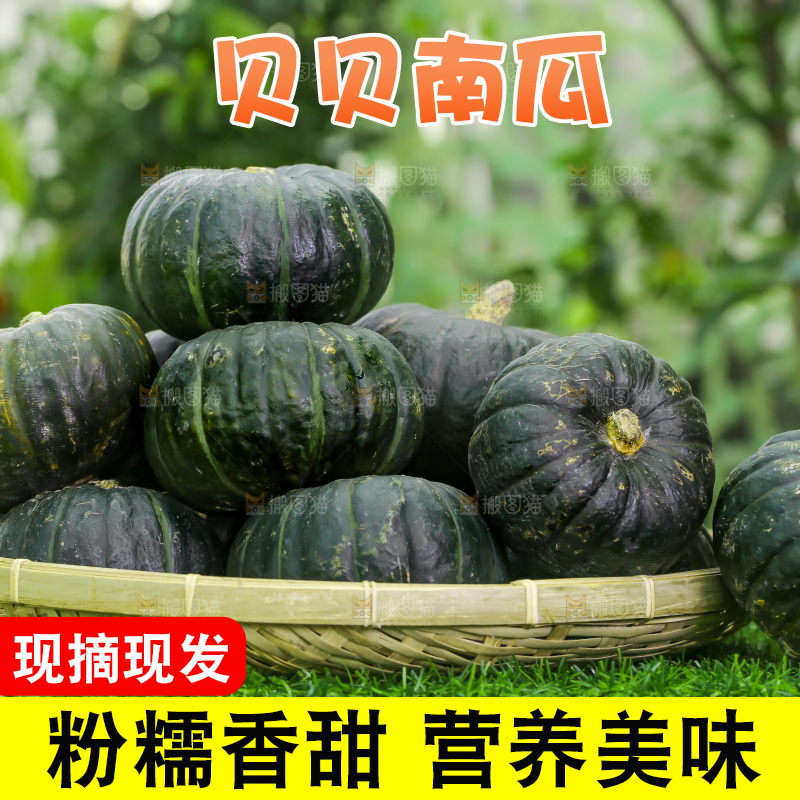 草地上放着一盘贝贝南瓜