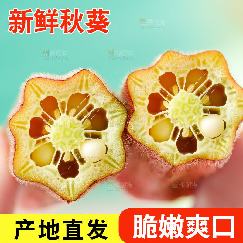 手拿切开的红色秋葵
