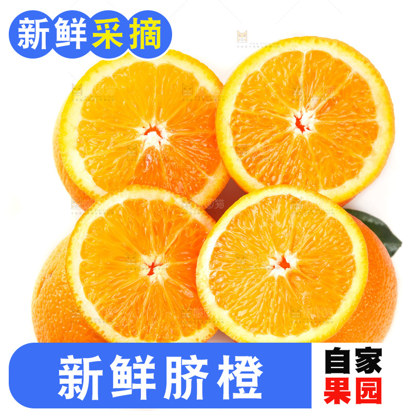 白底上摆放着橙子