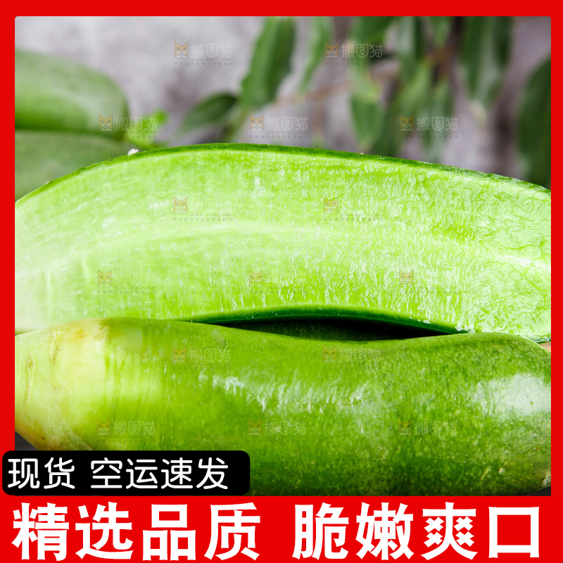 深底上摆放着绿皮萝卜