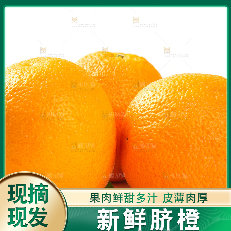 白底上摆放着橙子