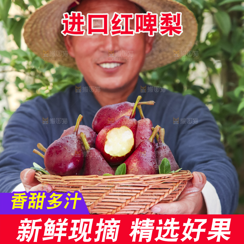 农民手拿一筐红啤梨