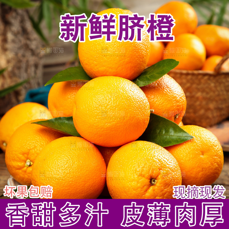 盘子里摆放着橙子