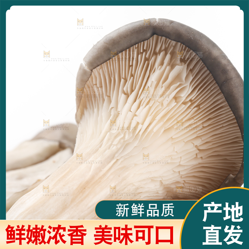 白底上放着平菇