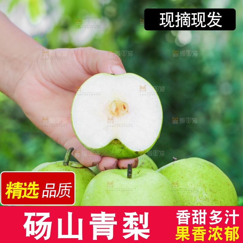 草地上手拿切开的青皮皇冠梨