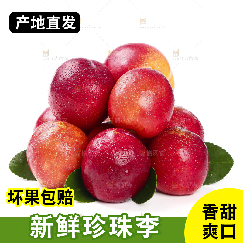白底上的智利珍珠李