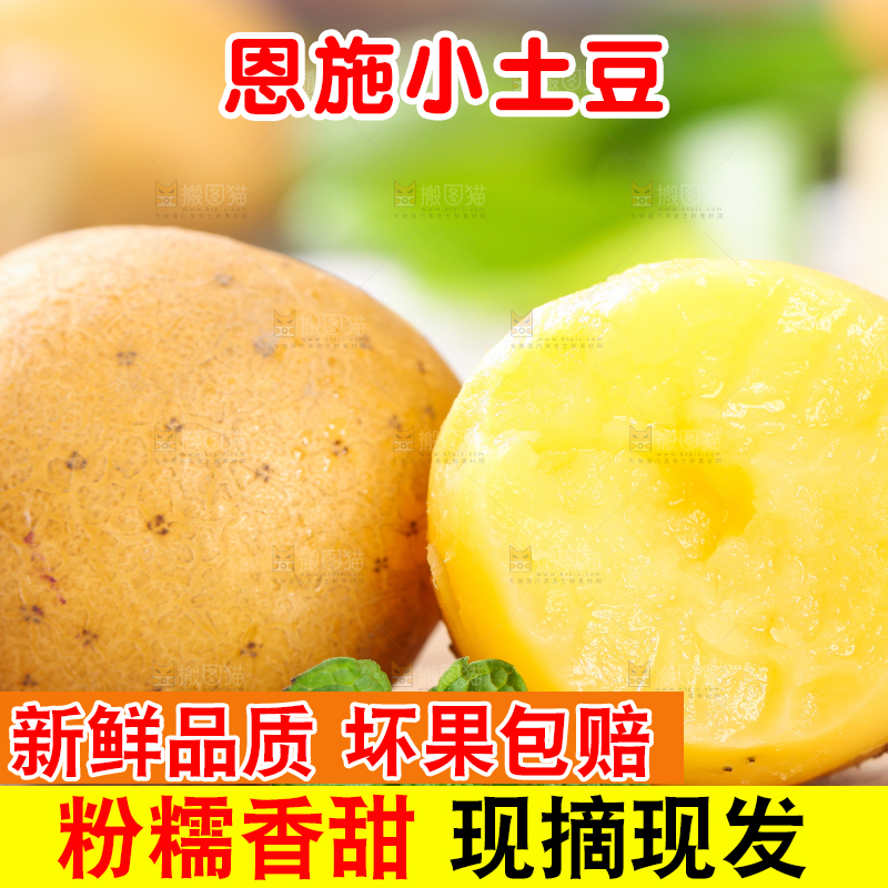 木底上的云南黄心小土豆