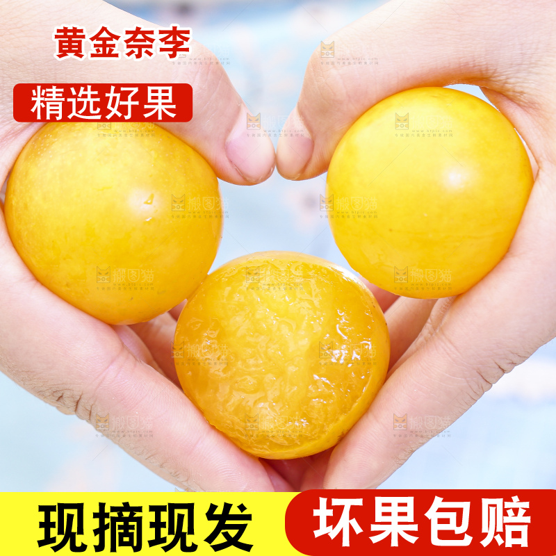 手拿黄金奈李