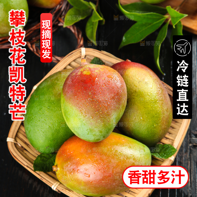 凯特芒主图