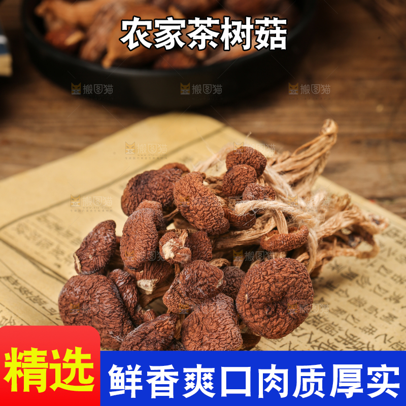 书本上放着茶树菇